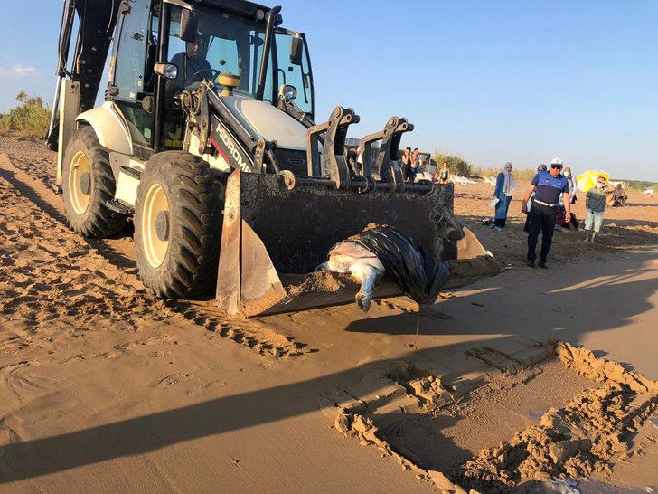 Ağzına ve yüzgecine poşet dolanan deniz kaplumbağasını vatandaşlar kurtardı G3