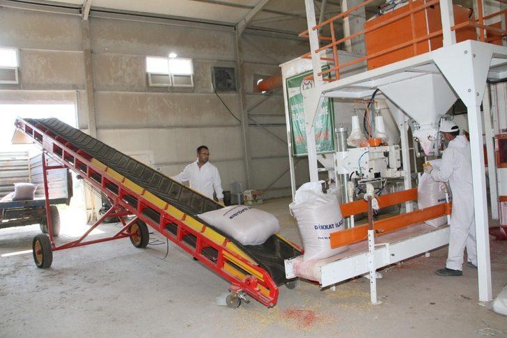 Tohum eleme tesisi çalışmalara başladı G3