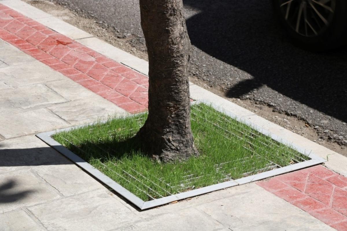 Bu mazgallar kaldırımlardaki engelleri kaldıracak