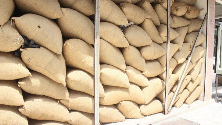 Bu sene fındıkta rekolte düşük G4