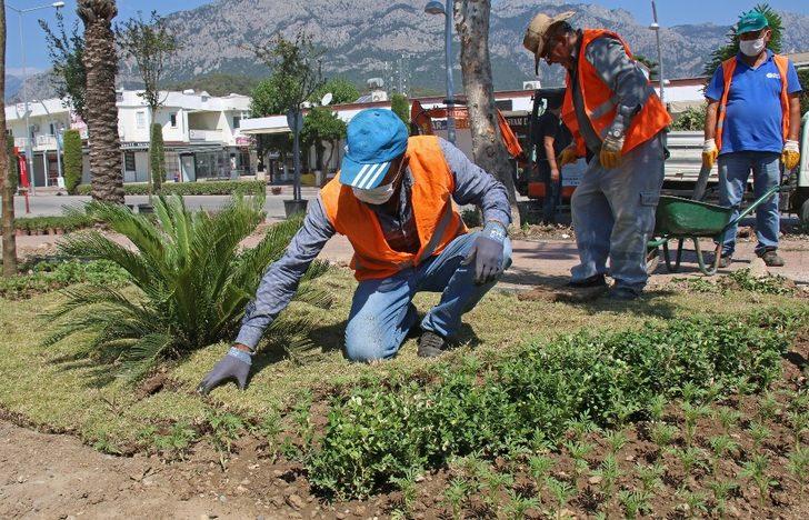 Kemer meydanına 33 bin bitki dikildi G1
