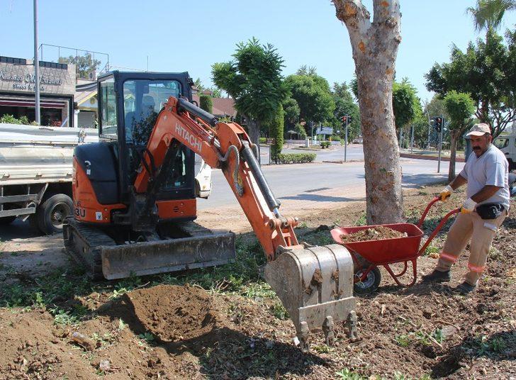 Kemer meydanına 33 bin bitki dikildi G4