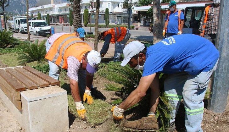 Kemer meydanına 33 bin bitki dikildi G5