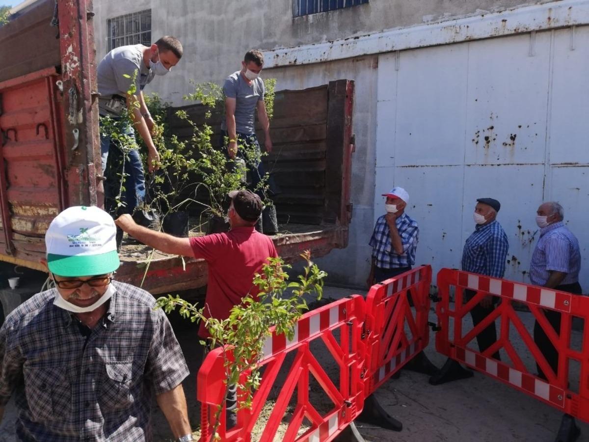 G&ouml;rdes&rsquo;te, 5 bin meyve fidanı dağıtıldı