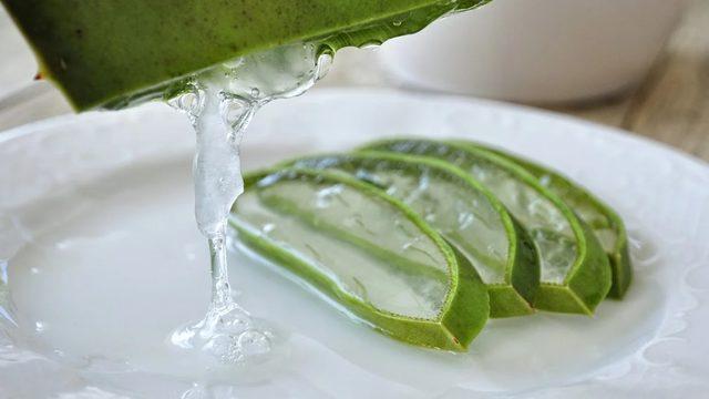 Aloe veranın faydaları saymakla bitmiyor! Bu detayları ilk kez göreceksiniz! Radyasyon hasarı...