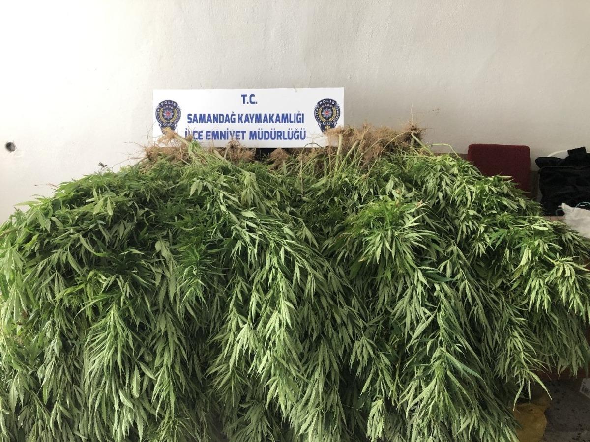 Samandağ&rsquo;da uyuşturucu operasyonu