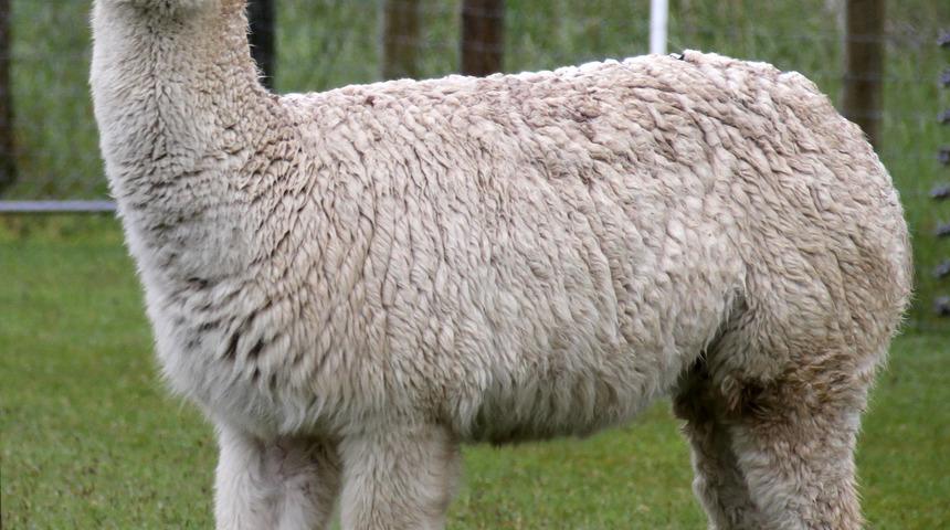 Umut onlarda: İkinci dalgayı &ouml;nleyebilirler!