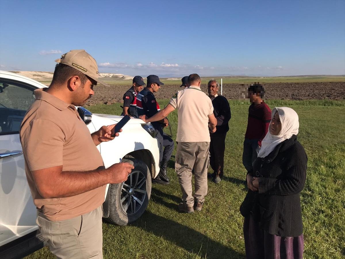 Sivas'ta salep soğanıyla yakalanan 5 kişiye 365 bin lira ceza