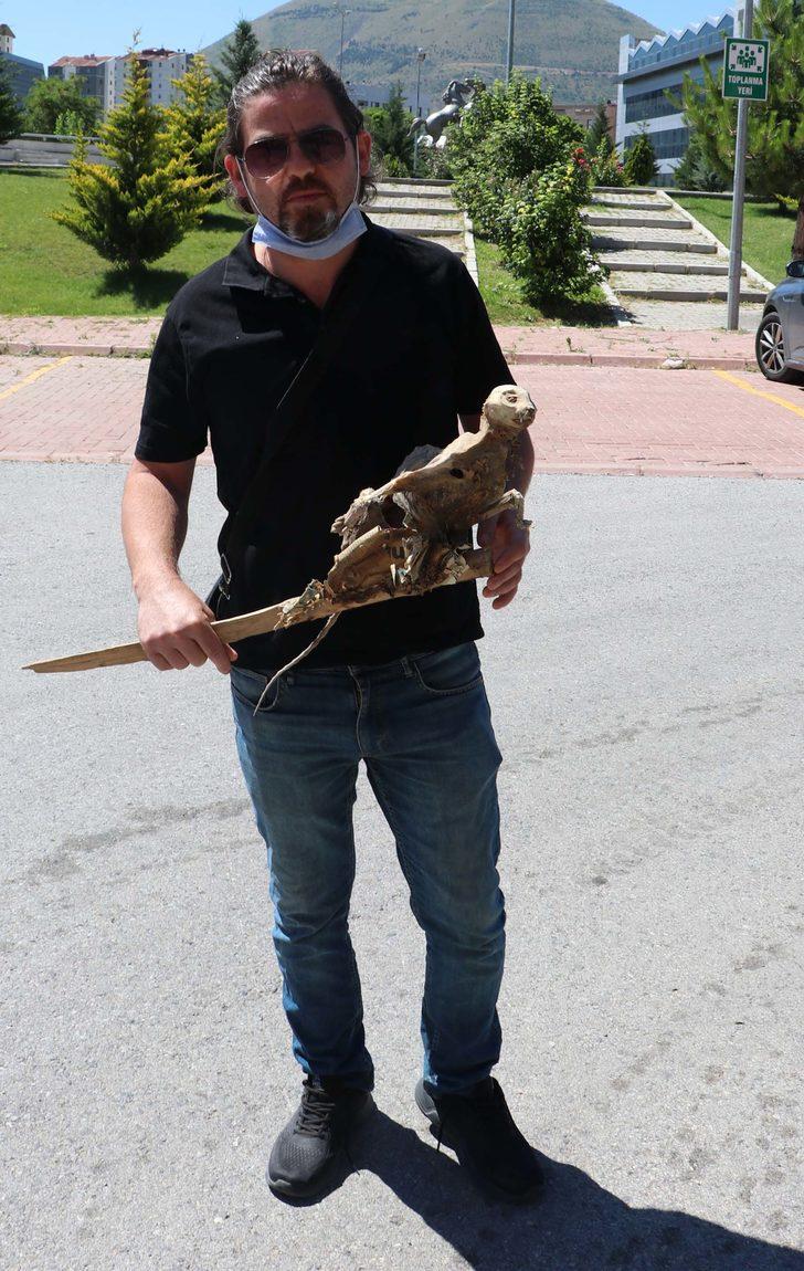 Evin bodrumunda bulunmuştu! İskeletin neye ait olduğu ortaya çıktı G3