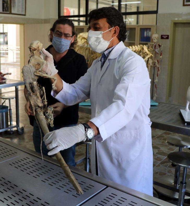 Evin bodrumunda bulunmuştu! İskeletin neye ait olduğu ortaya çıktı G4