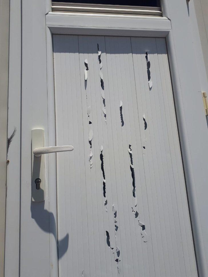 Didim’deki duş ve soyunma kabinleri tahrip edildi G3