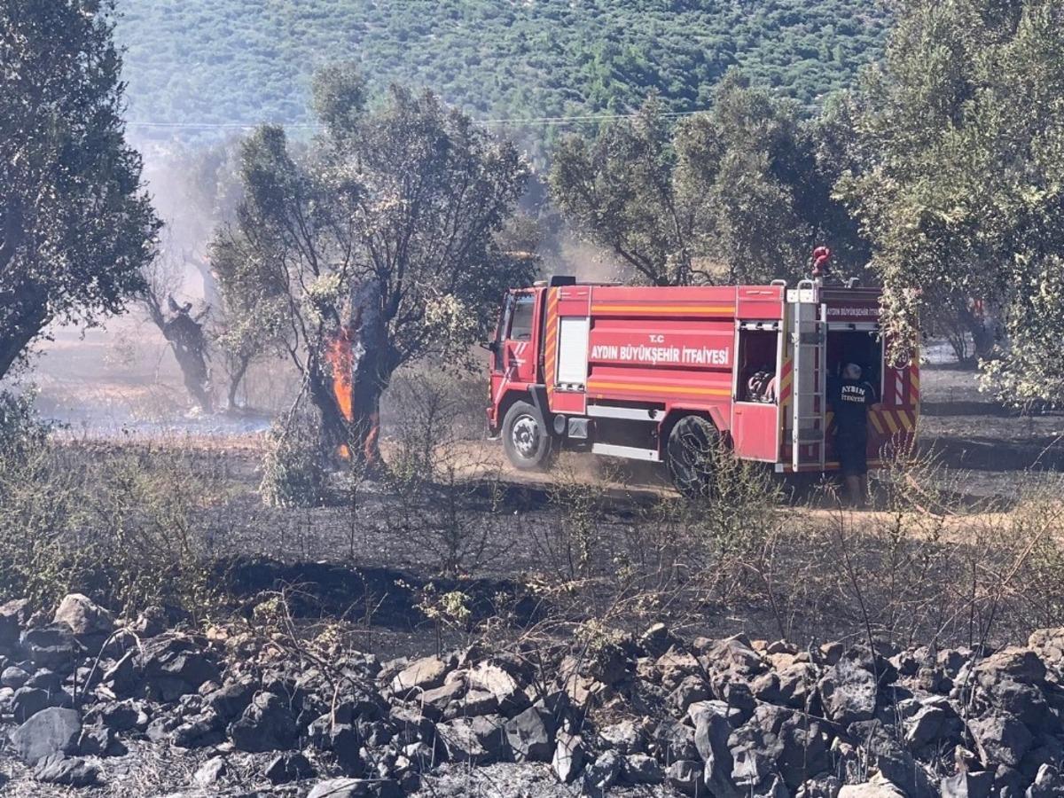 B&uuml;y&uuml;kşehir İtfaiyesi Doğanbey&rsquo;deki yangını b&uuml;y&uuml;meden s&ouml;nd&uuml;rd&uuml;