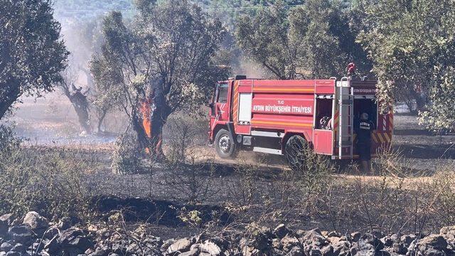 Büyükşehir İtfaiyesi Doğanbey’deki yangını büyümeden söndürdü