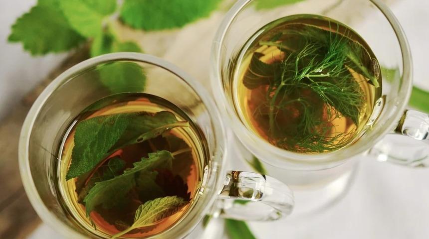 Kilo vermeye yardımcı yağ yakıcı doğal zayıflama &ccedil;ayları