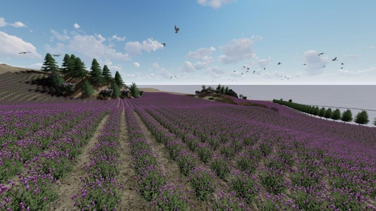 Kral Anitta yabani ot ekmişti, 4 bin yıl sonra lavanta bah&ccedil;esine d&ouml;n&uuml;ş&uuml;yor