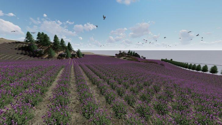 Kral Anitta yabani ot ekmişti, 4 bin yıl sonra lavanta bahçesine dönüşüyor G1