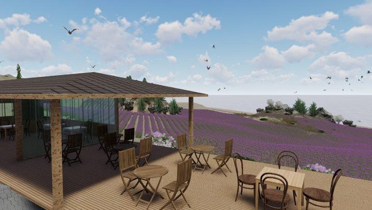 Kral Anitta yabani ot ekmişti, 4 bin yıl sonra lavanta bahçesine dönüşüyor G2