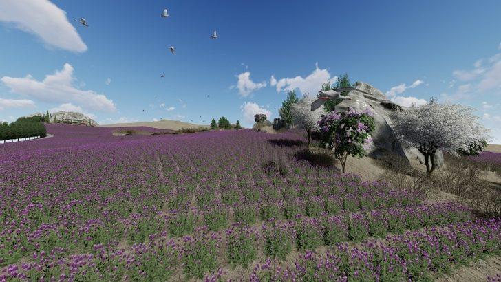 Kral Anitta yabani ot ekmişti, 4 bin yıl sonra lavanta bahçesine dönüşüyor G4