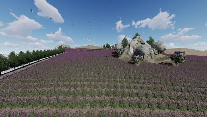 Kral Anitta yabani ot ekmişti, 4 bin yıl sonra lavanta bahçesine dönüşüyor G5