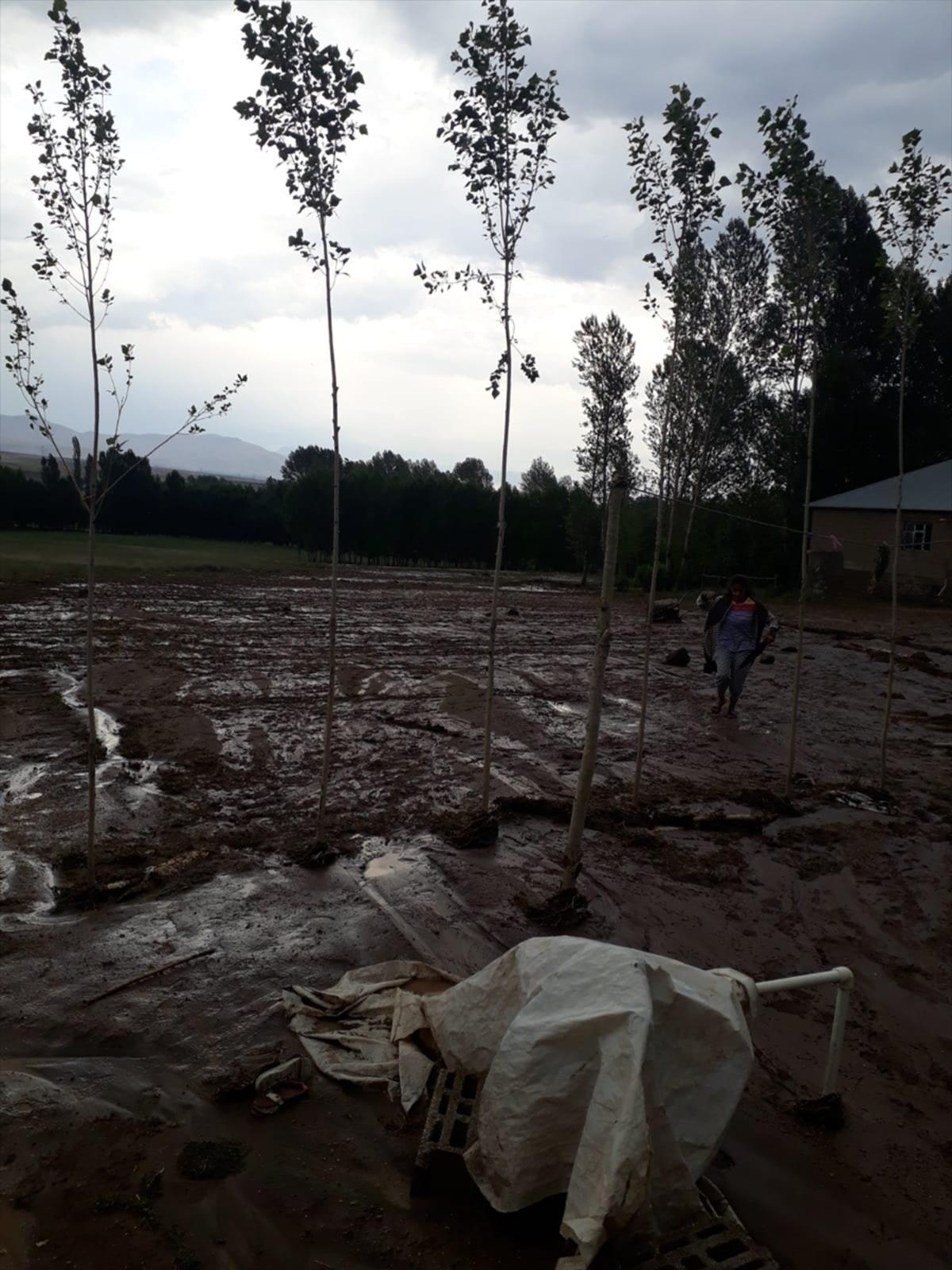 Van'da sele kapılan 74 koyun telef oldu