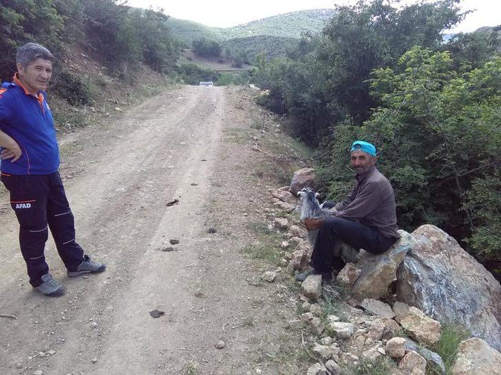 Tokat’ta kayalıklarda mahsur kalan kuzu (AFAD) ekiplerince kurtarıldı G2
