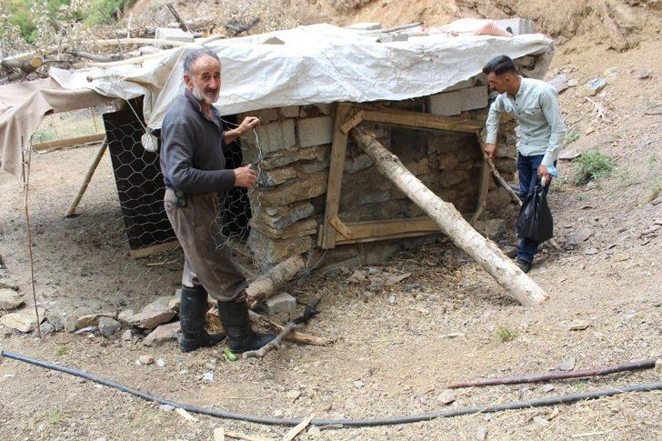 Şemdinli’de köpekler ahıra girip 72 tavuğu telef etti G3