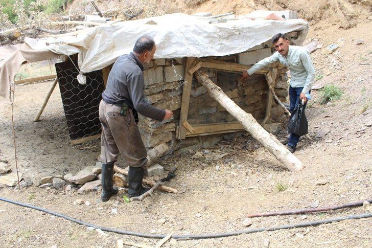 Şemdinli’de köpekler ahıra girip 72 tavuğu telef etti G4