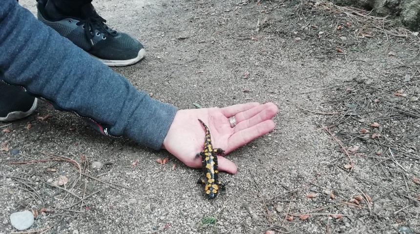 G&ouml;r&uuml;nce telefona sarıldı! D&uuml;nyada onlardan &ccedil;ok az var