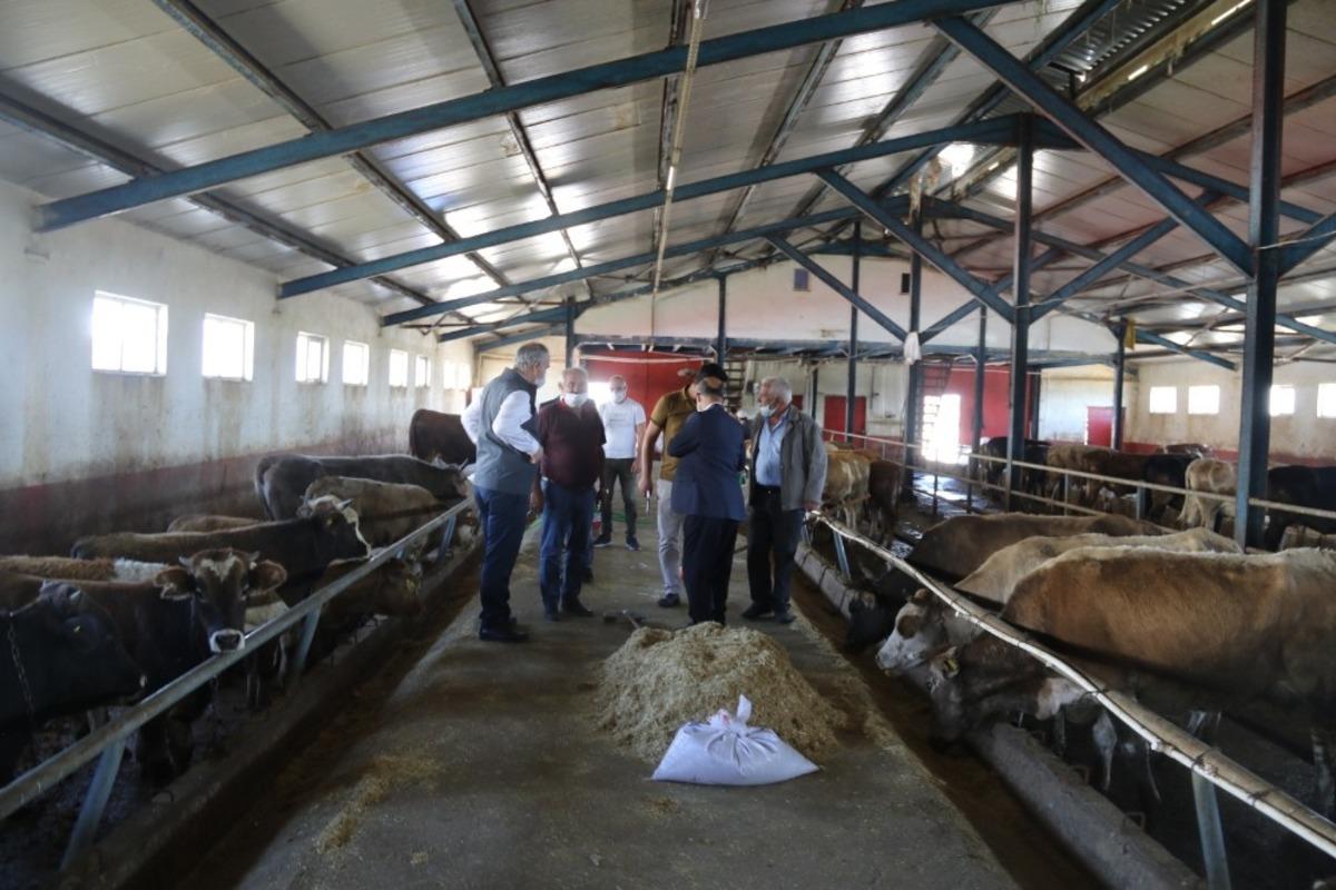 Kurban Bayramı &ouml;ncesinde İl M&uuml;d&uuml;r&uuml; Akar&rsquo;dan Hayvan Pazarına ziyaret