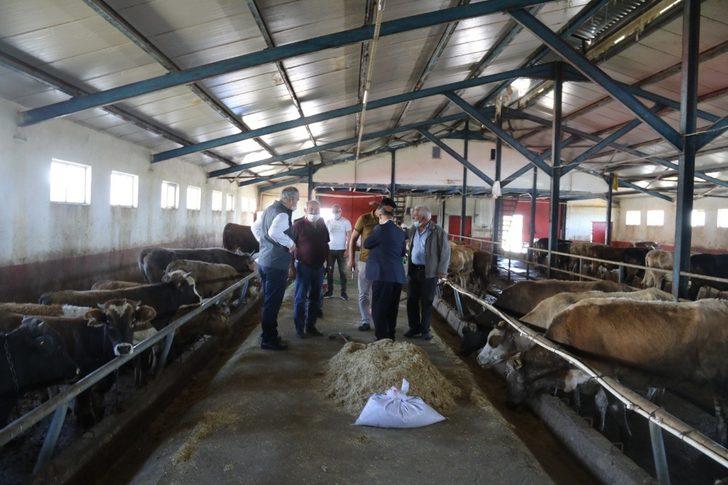 Kurban Bayramı öncesinde İl Müdürü Akar’dan Hayvan Pazarına ziyaret G1