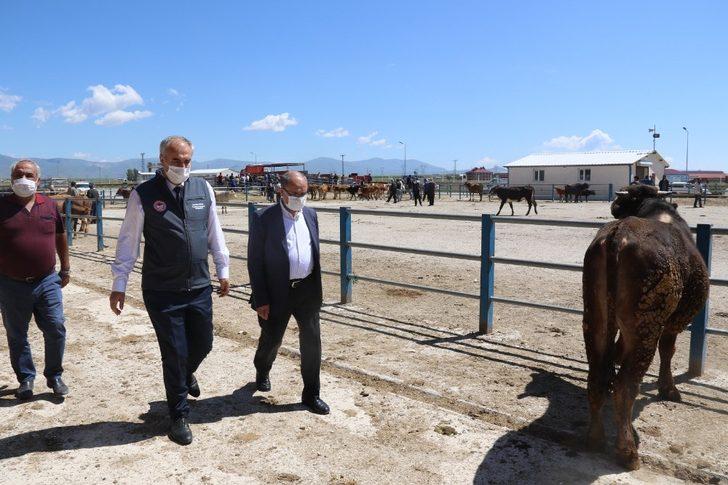 Kurban Bayramı öncesinde İl Müdürü Akar’dan Hayvan Pazarına ziyaret G2