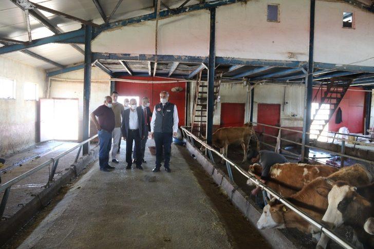 Kurban Bayramı öncesinde İl Müdürü Akar’dan Hayvan Pazarına ziyaret G3