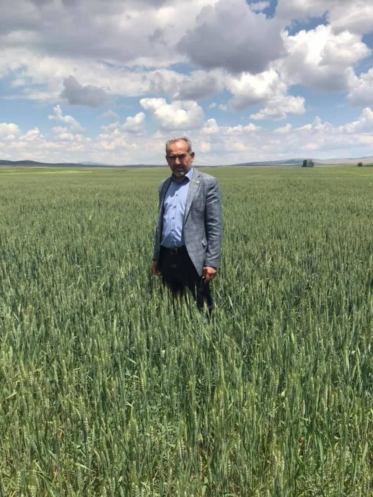 Altıntaş&rsquo;ta buğday &uuml;retiminde b&ouml;cek alarmı