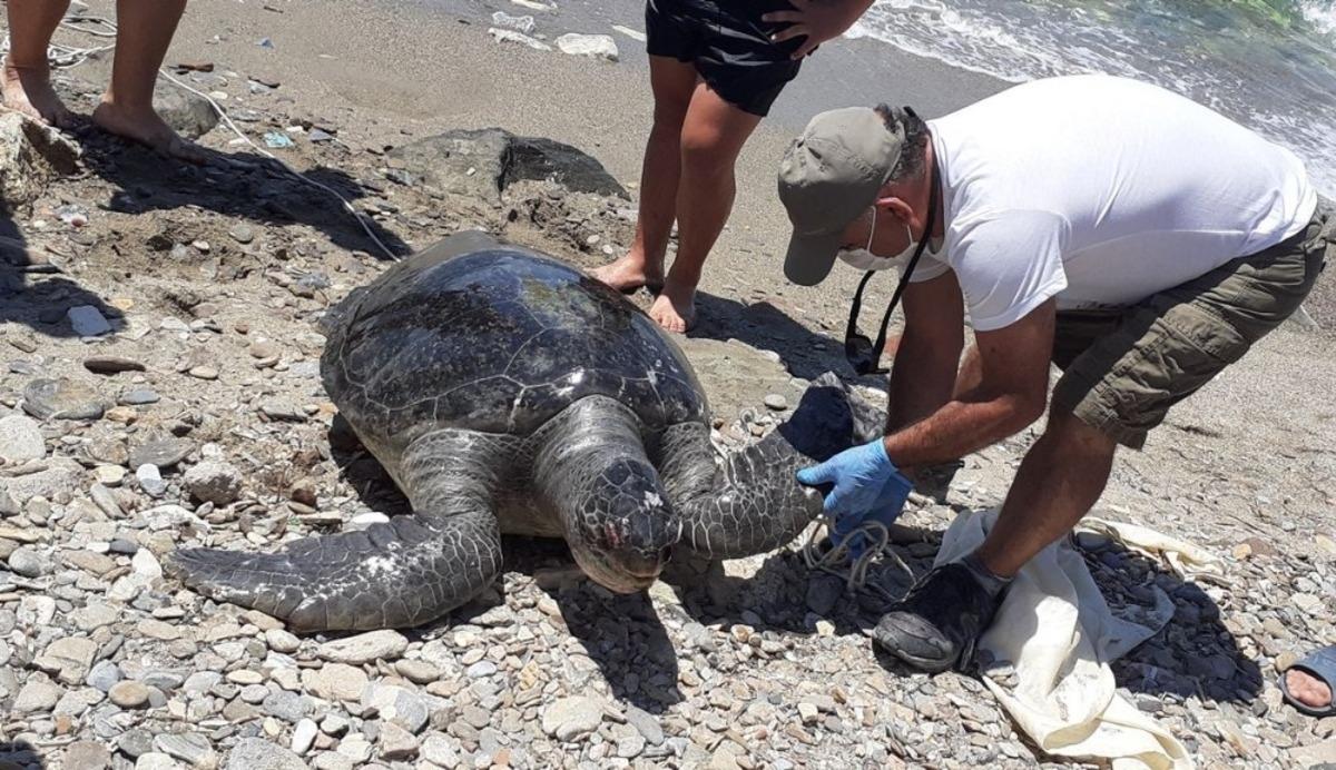 Kuşadası kıyılarında b&ouml;ylesi ilk kez yaşandı