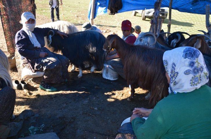 Kadınların yayladaki zorlu mesaisi başladı G2