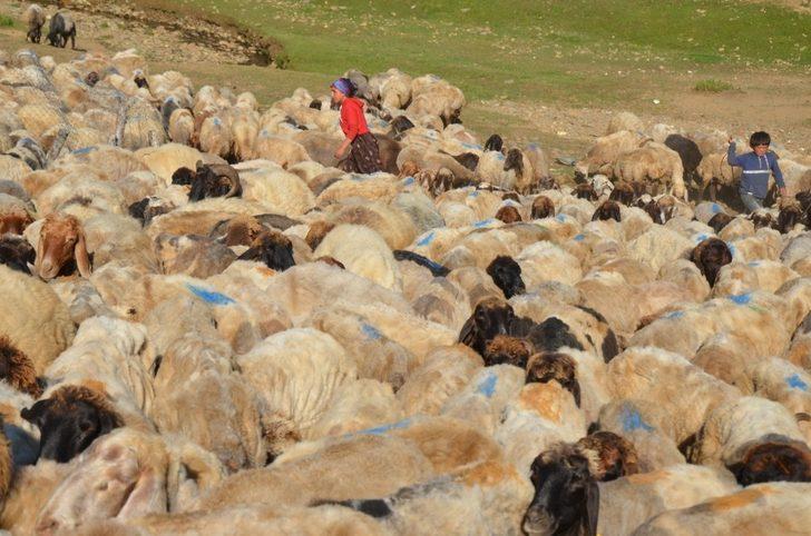 Kadınların yayladaki zorlu mesaisi başladı G4