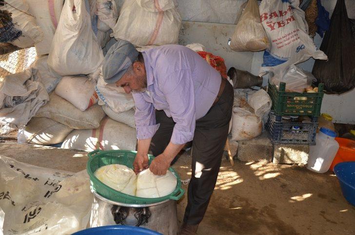 Kadınların yayladaki zorlu mesaisi başladı G5