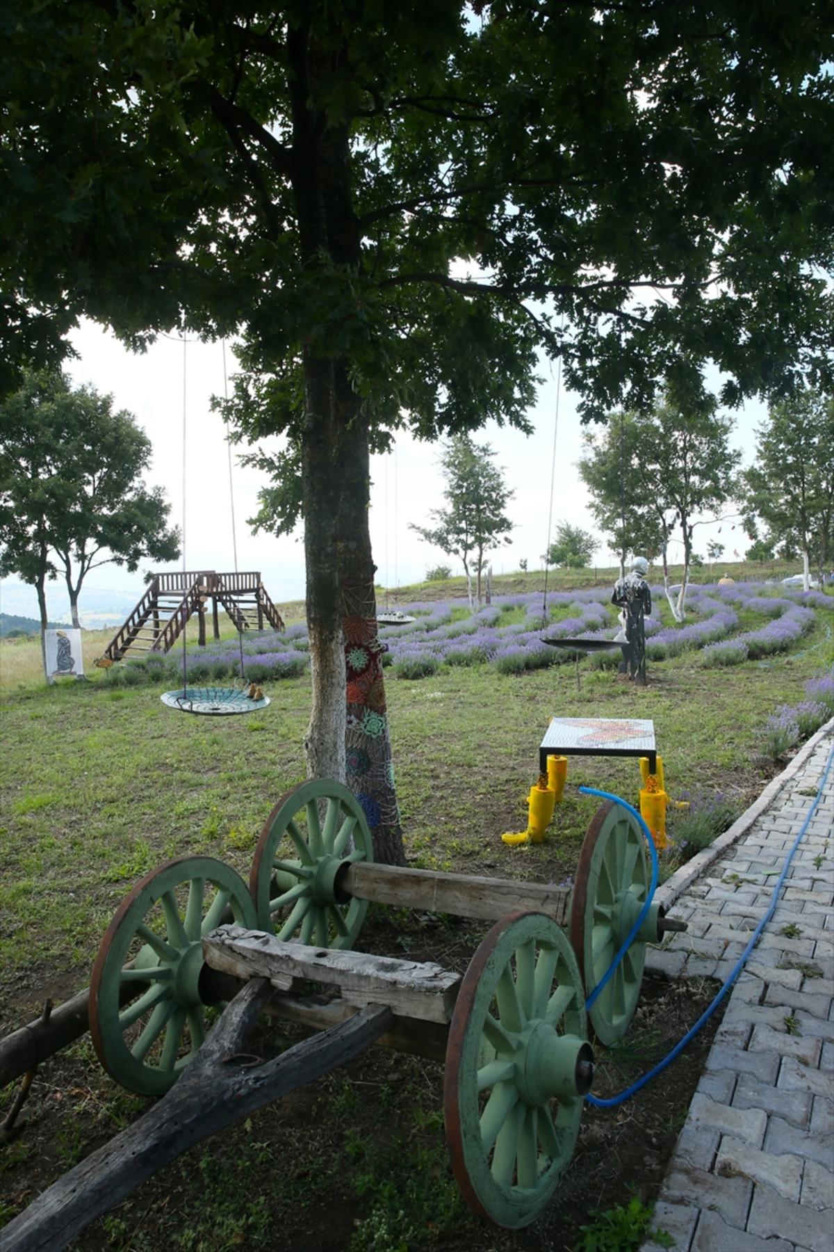 Doğa ile sanat mor tarlada buluştu