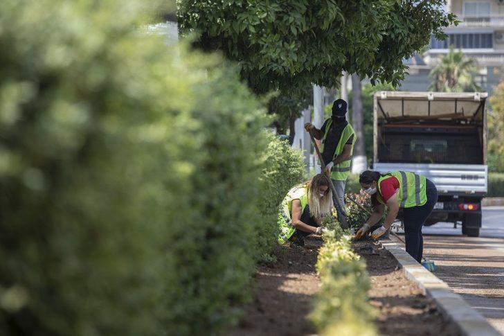 Büyükşehir Belediyesi, 4 yılda 150 kilometre otomatik sulama sistemi döşeyecek G3