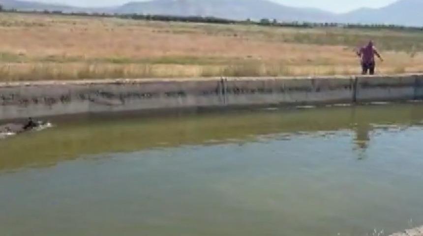 Domuz avcısı bu sefer hayat kurtardı