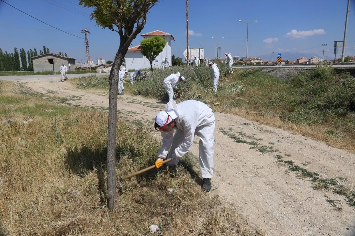 Karaman Belediyesinden temizlik