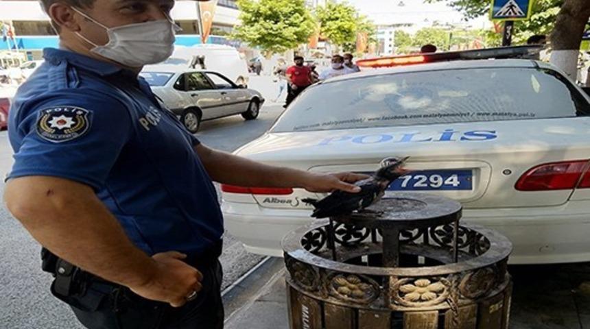 Polisten kargaya şefkat eli