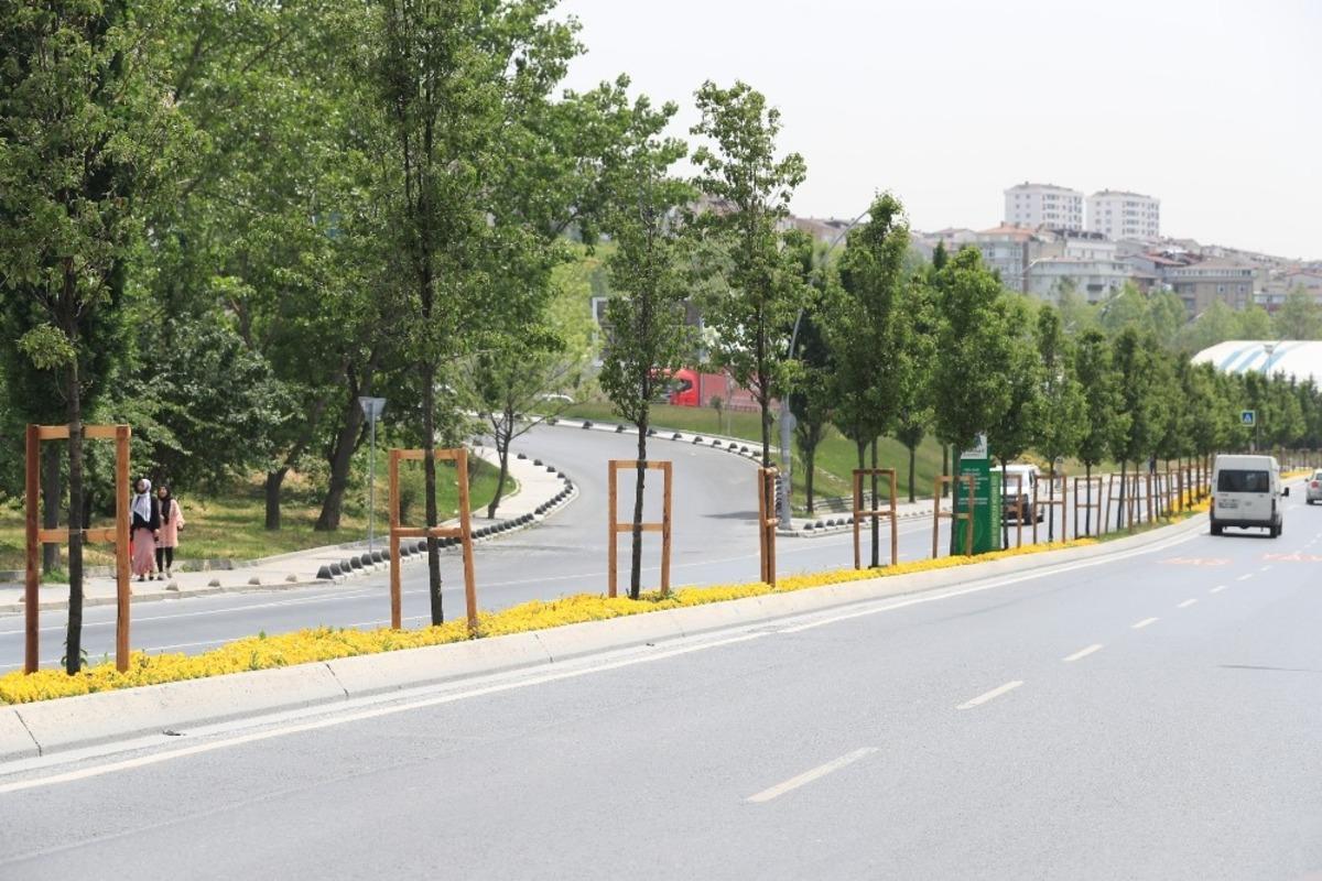 Daha yeşil bir Sultangazi i&ccedil;in &ccedil;alışmalar s&uuml;r&uuml;yor