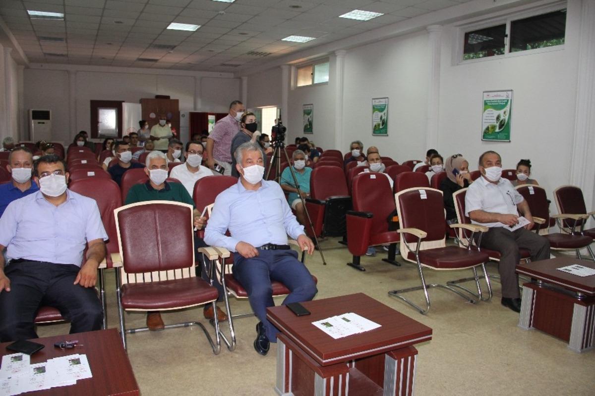 Mersin&rsquo;de yeni bir muz &ccedil;eşidi geliştirildi: Alata Azmanı