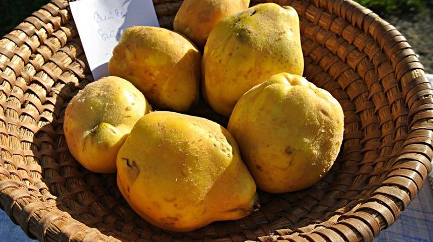 Kokusuna hayran kalacaksınız: Ayva re&ccedil;eli tarifi