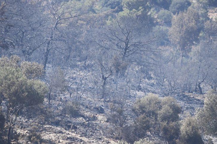 Seydikemer’deki orman yangınında 2 hektar alan zarar gördü G3