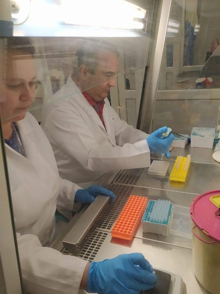 ALKÜ’lü akademisyenler toplum bağışıklığını araştırdı G2