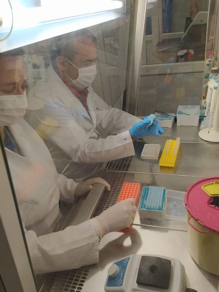 ALKÜ’lü akademisyenler toplum bağışıklığını araştırdı G4