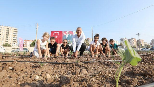 Mersin’de şehir manzaralı biberiye ve sebze tarlası