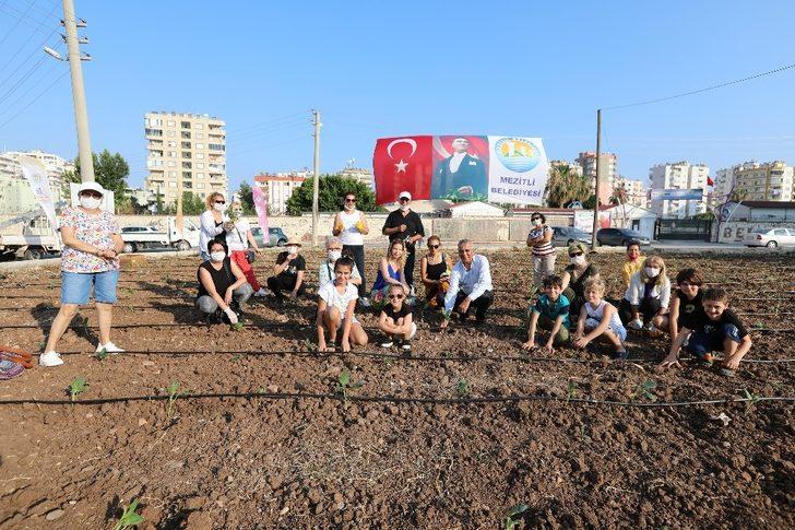 Mersin’de şehir manzaralı biberiye ve sebze tarlası G3